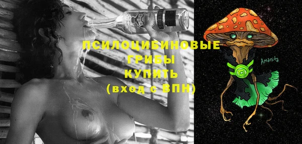 стаф Каменск-Шахтинский