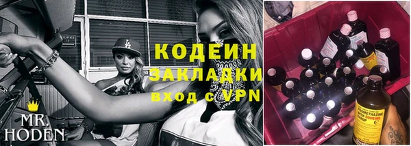 стаф Каменск-Шахтинский