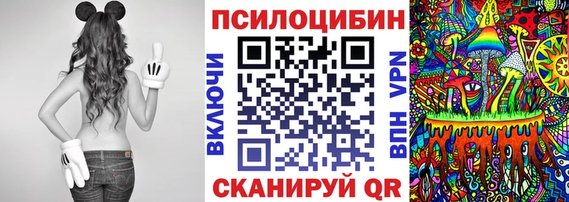 Купить закладки  Сретенск  Галлюциногенные грибы Cubensis 