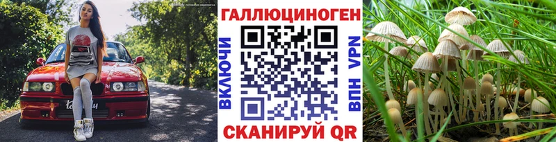 Псилоцибиновые грибы прущие грибы Сретенск